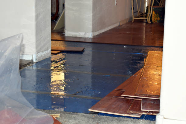 Professional Basement Flood Cleanup technician working in Somerville, TN